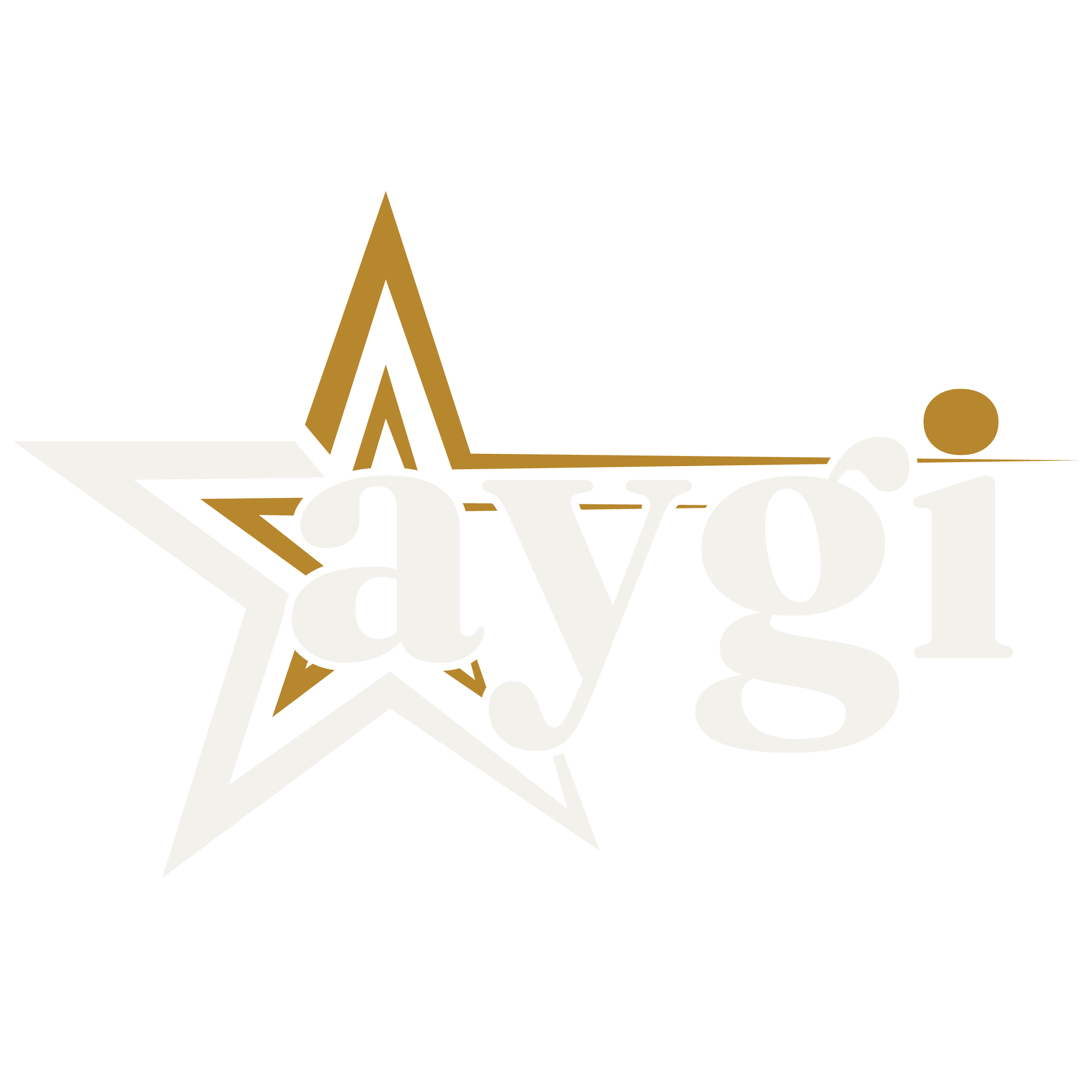 AYGI Group